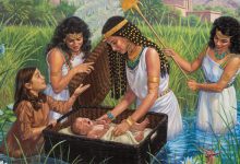 Photo of Чудеса Библейских повестей