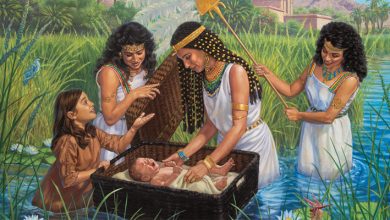 Photo of Чудеса Библейских повестей