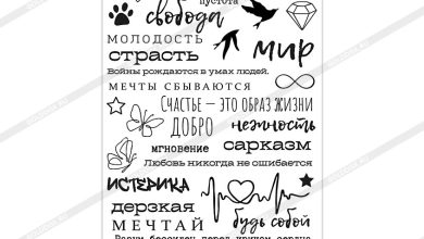 Photo of Таинственные надписи на пергаменте