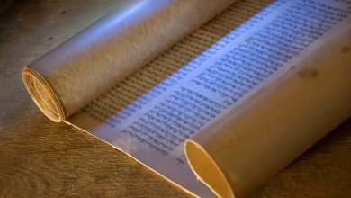 Photo of Открытие древних текстов на пергаменте