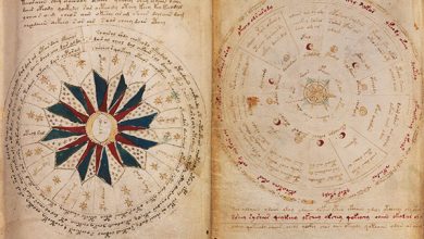 Photo of Загадочные тексты рукописей