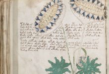 Photo of Утерянные манускрипты древности