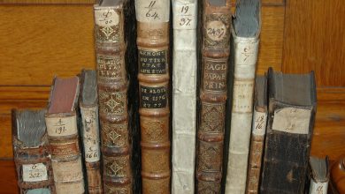 Photo of Сокровища библиотеки средневековых рукописей